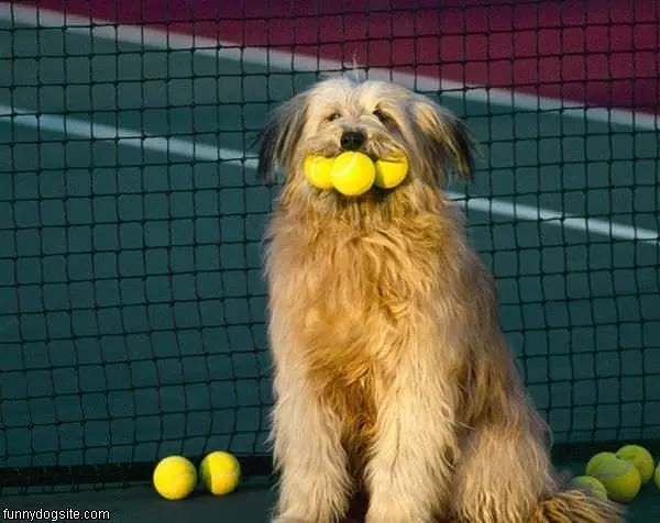Lots Of Balls