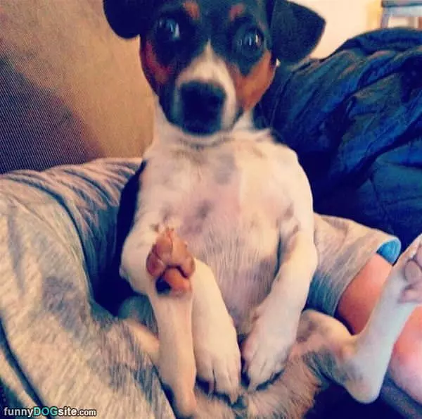 Putting On My Cute Face