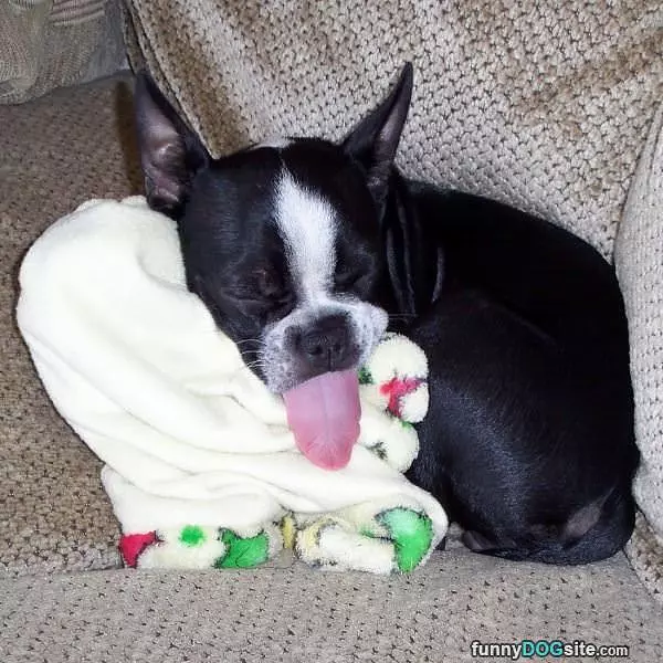 Sleeping All Cute