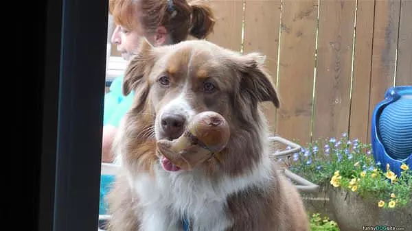 Hey Let Me In