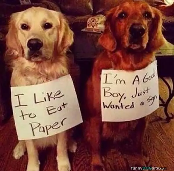 I Like To Eat Paper