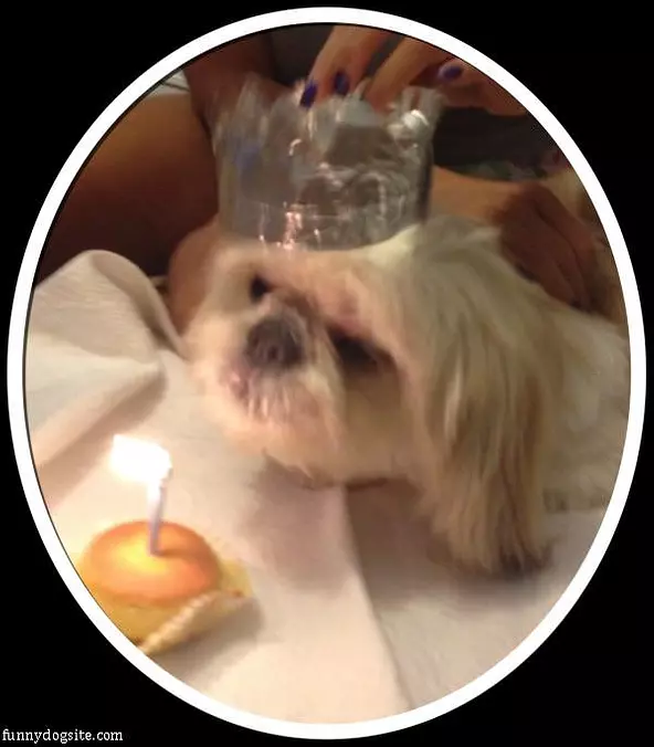 I Want My Birthday Cake