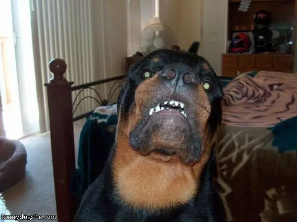 My Scared Face