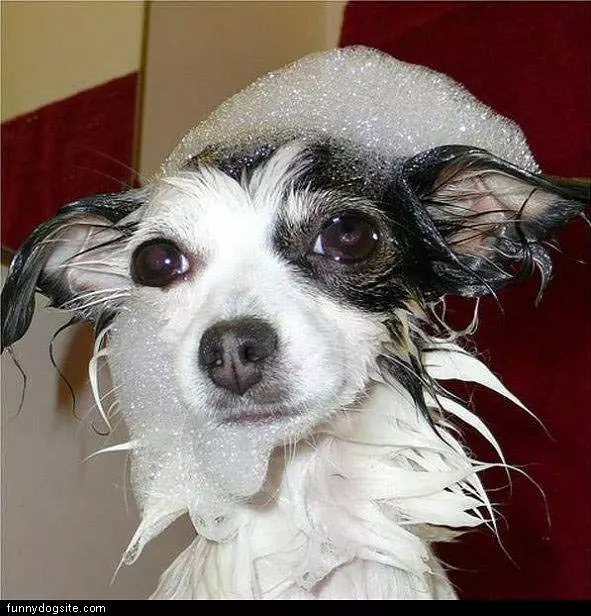Soap Face