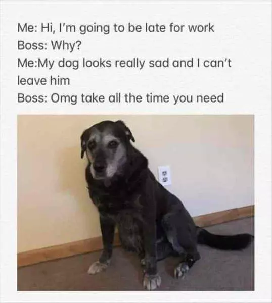Take All The Time You Need