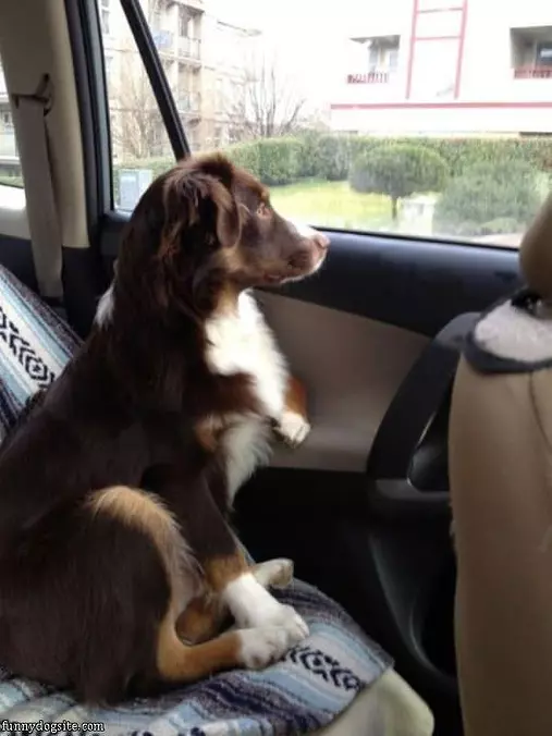 Just Enjoying The Ride