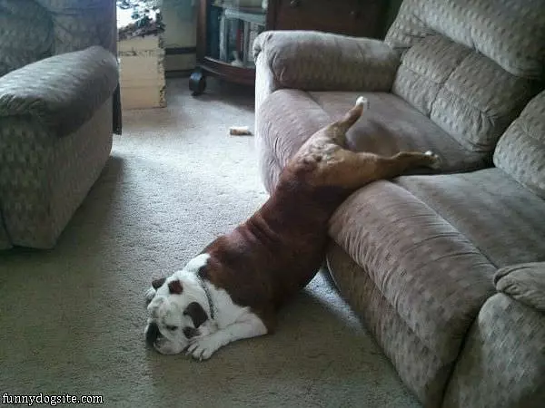 How I Sit