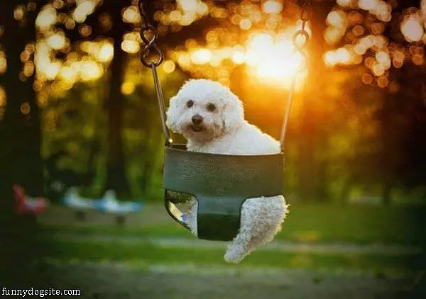 Push Me