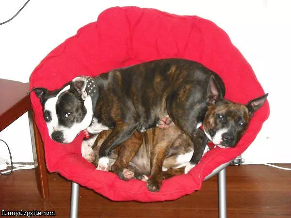 Sharing A Seat