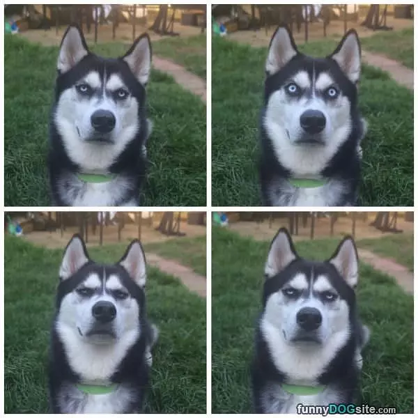 Not Very Impressed