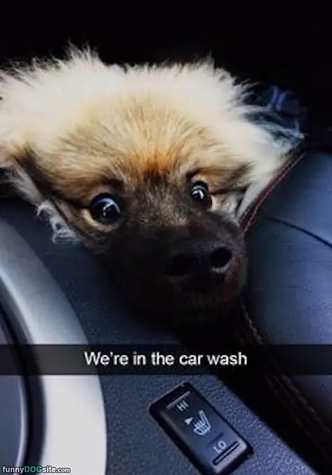 In The Wash