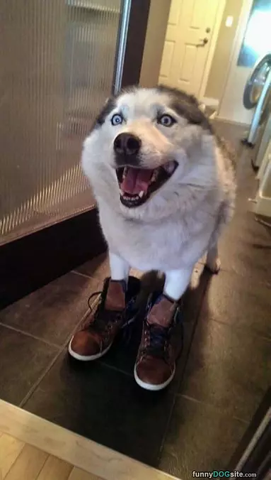 I Got Some Shoes