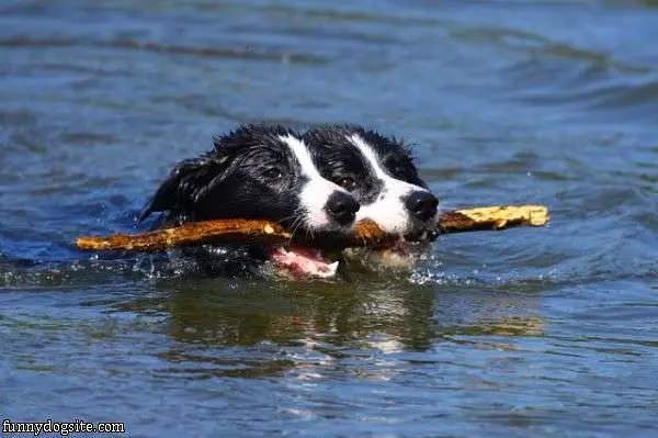 Double Fetch