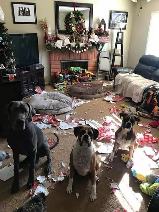 Made A Little Mess