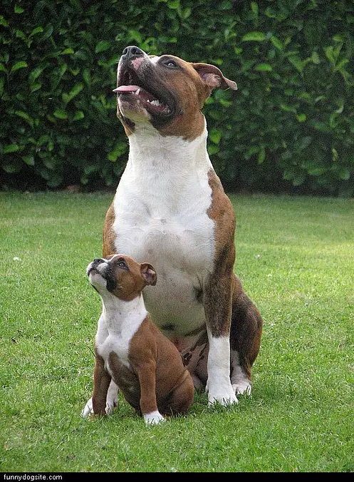 Big And Little
