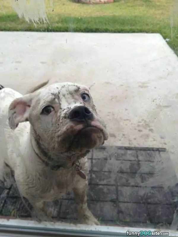 What You Mean Im Too Dirty
