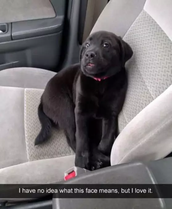 What This Face Means