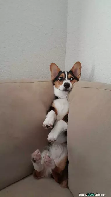 I Am Stuck Halllppp