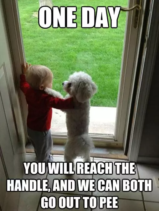 One Day Buddy