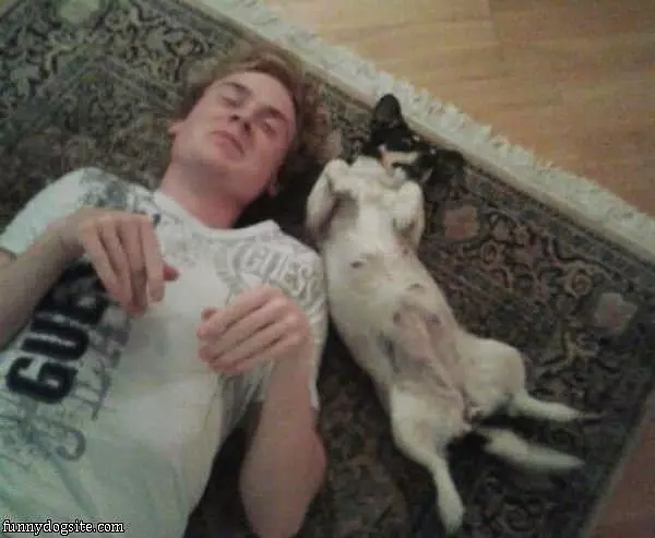 Laying Around