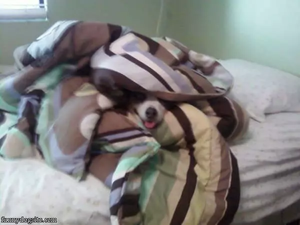 I Dont Want To Get Up
