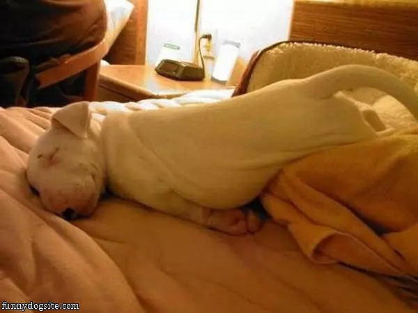 Sleep Where I Want