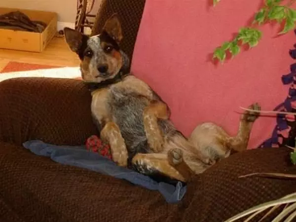 I Am Just So Super Relaxed