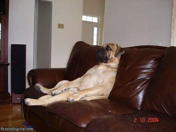 Watching Some Tv