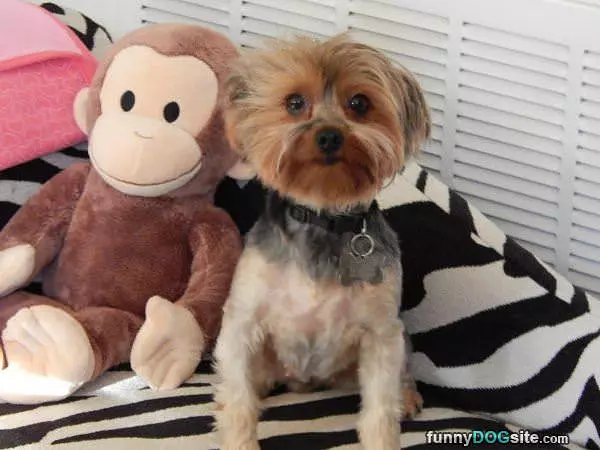Dixie And Friend