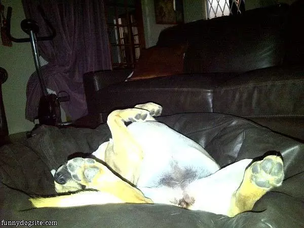 Sleep Where I Want