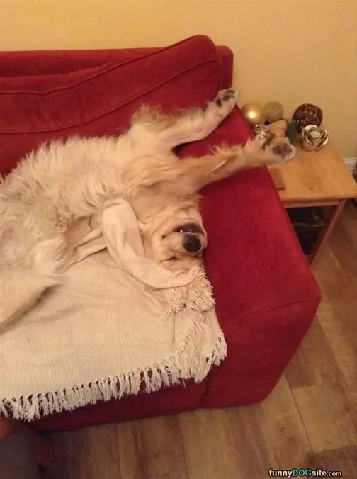 Lounging