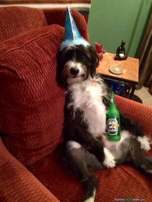 Just Relaxing With A Beer