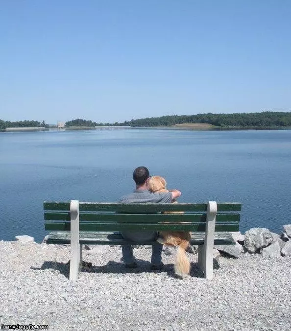 Enjoying The Scene