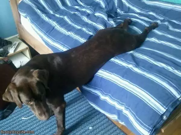 Sit How I Want