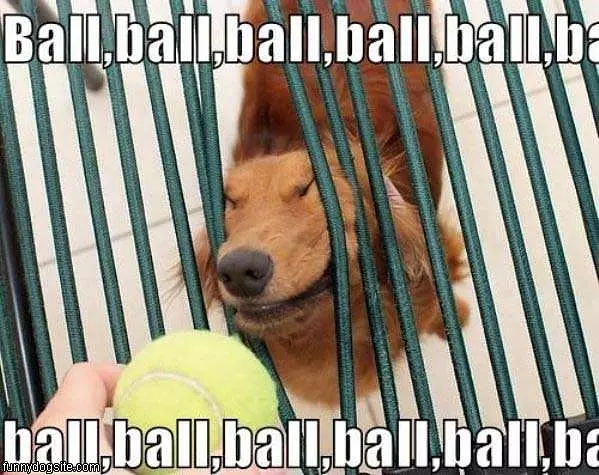Ball