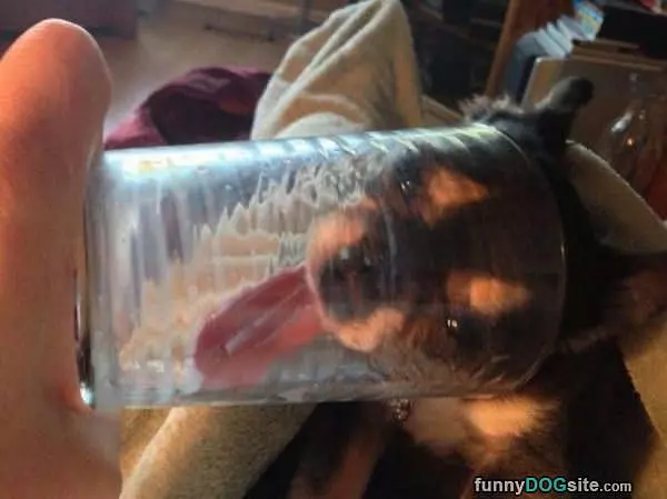 Getting Every Drop
