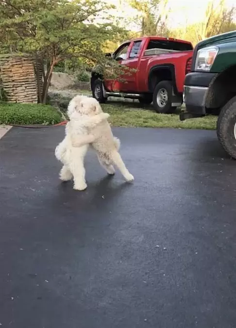 Hug It Out Boys