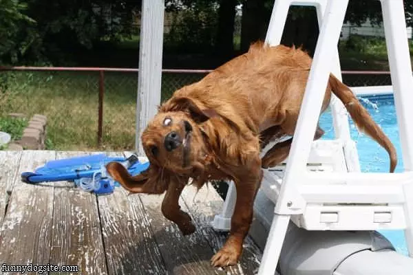 The Pool Was Wet