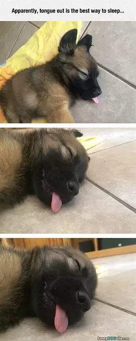 Best-way-to-sleep
