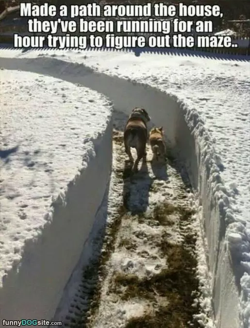 Cool Maze