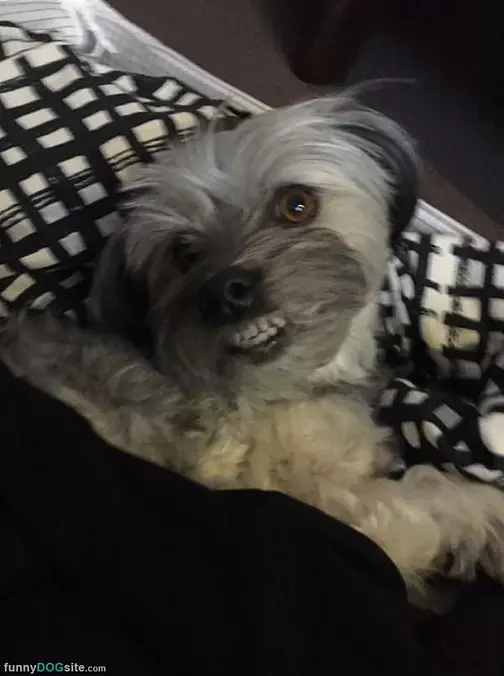 Smile And Say Cheeeeese