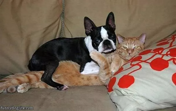 Hanging Out Together