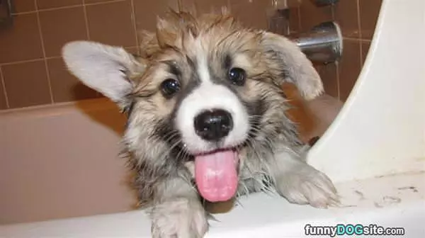 Hahaha I Am Cute