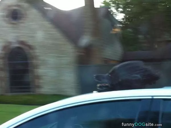Drive Faster Human