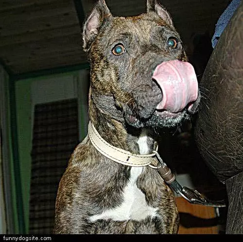 Lick