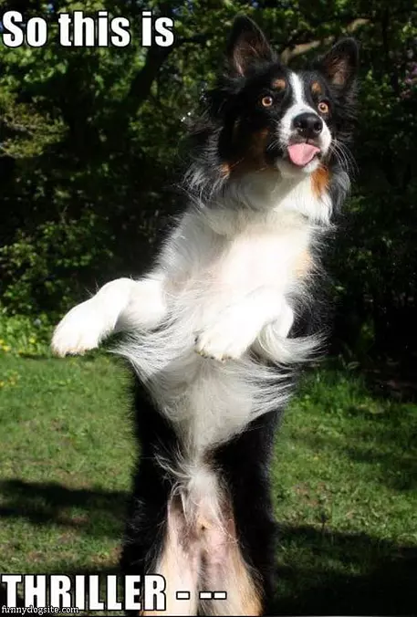 This Is Thriller