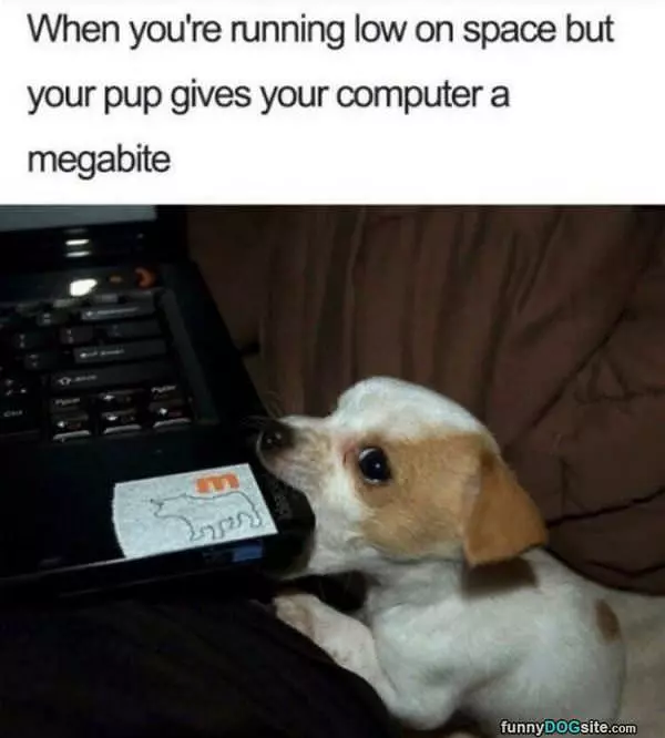 A Megabite