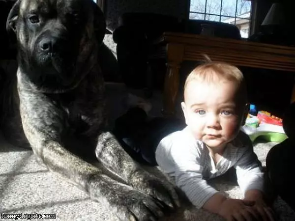 I Protect Him