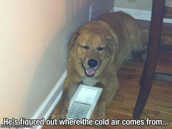 The Cold Air