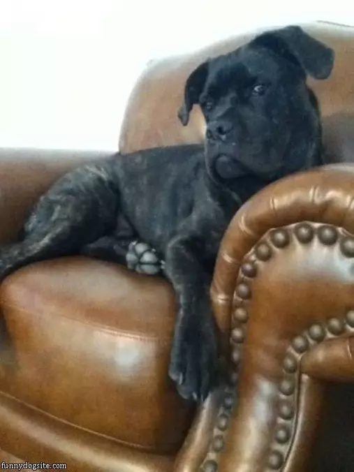 Just Chillin